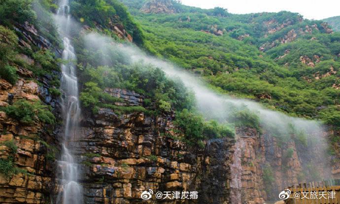银河中动物逃生