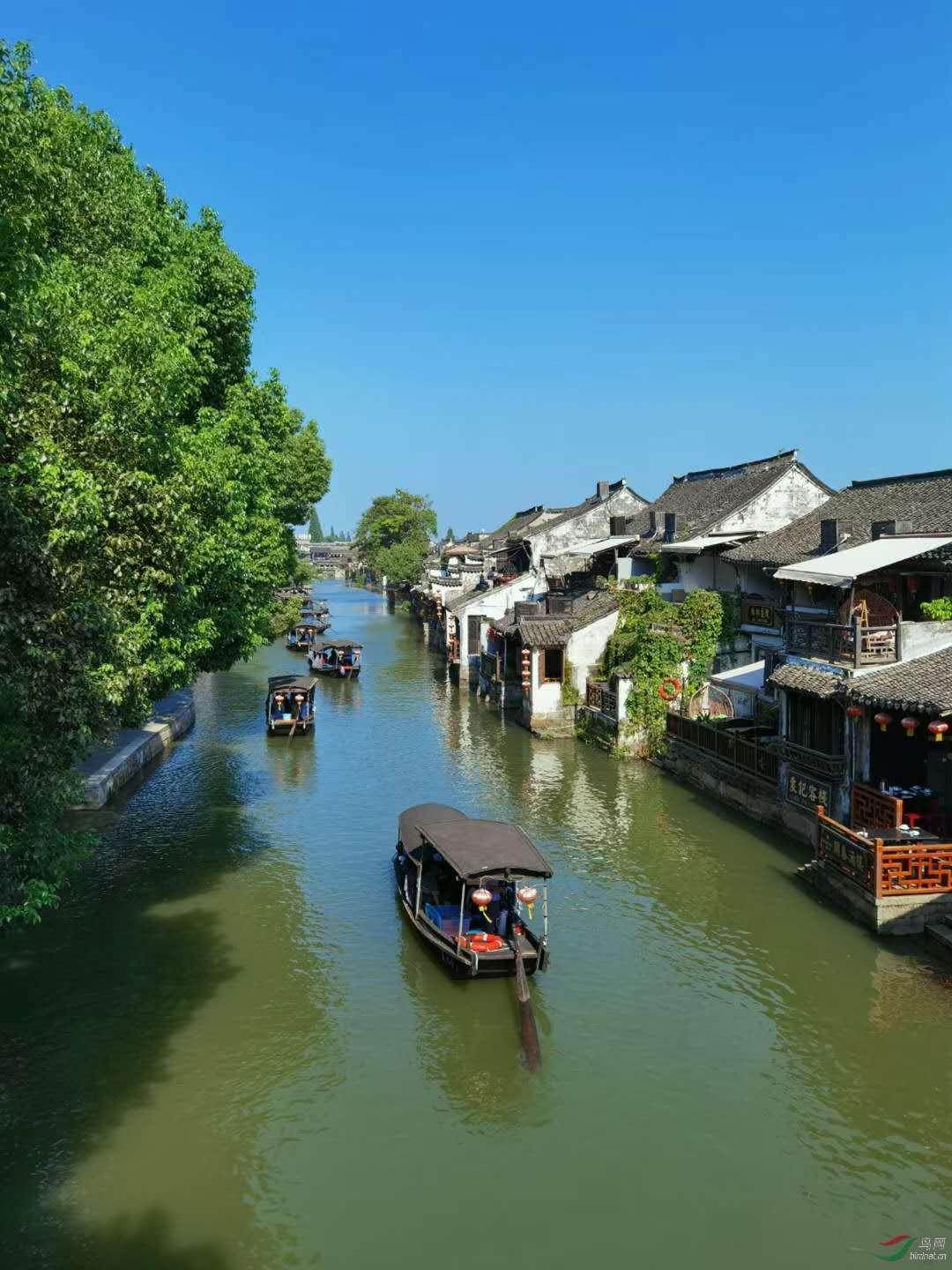 寻找古代宝藏